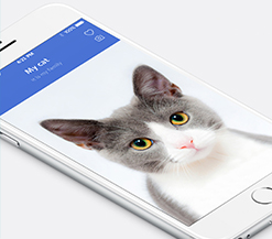 私家智能定制APP